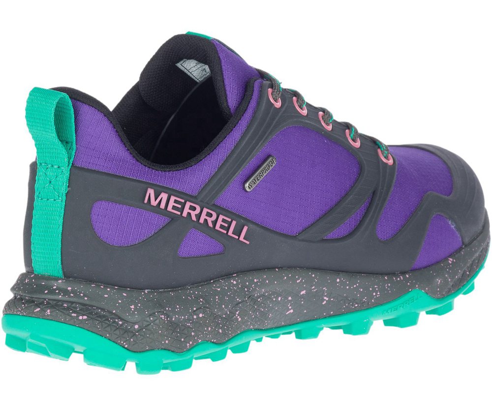 Buty Trekkingowe Merrell Damskie Fioletowe/Czarne - Altalight Waterproof - 830269-SPA